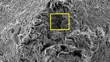 Fractographic SEM image